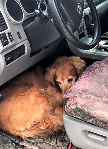 Can you still drive if I lay right here?