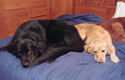 Buddies, Cassie and Mia