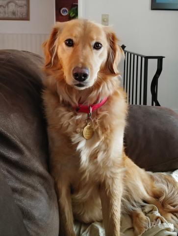 A rare photo of Mia looking at the camera
