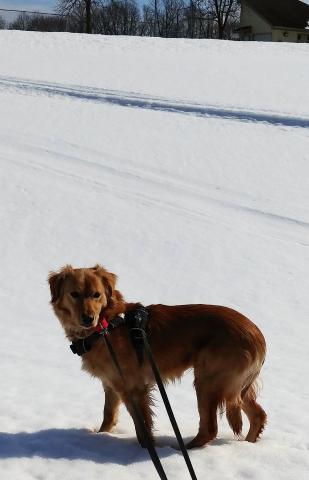 Mia not quite sure what to make of the great outdoors