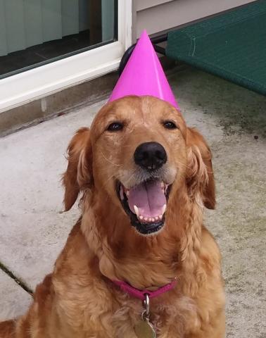 Happy Birthday, Anya!