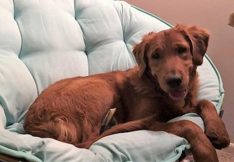 Queen Asha on her throne.