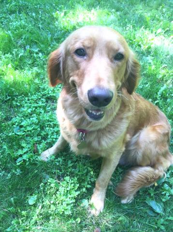 Cassie 18-128A