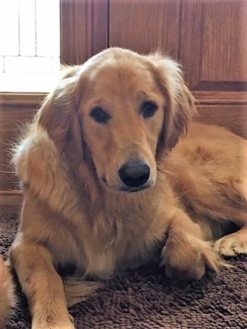 Handsome Charlie