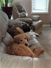 Dexter and best bud Hugo