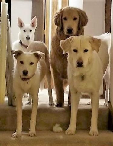 The crew going upstairs for the night