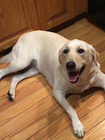 Ellie Mae 18-166