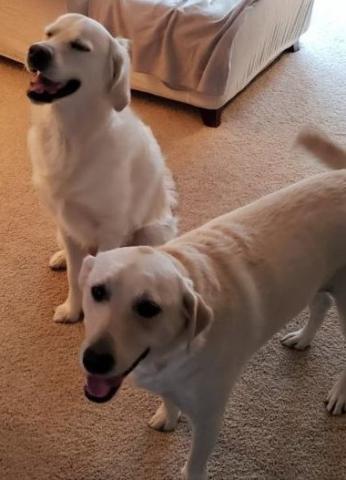 Ellie Mae 18-166