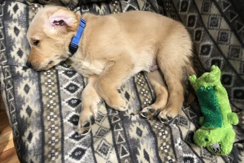 He can climb on the couch by himself!