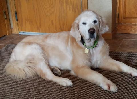 Beautiful girl on her own new rug