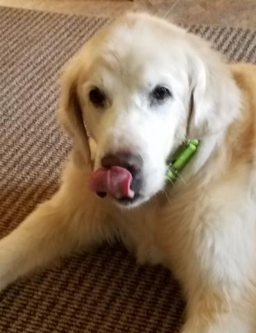 Yummy treat!