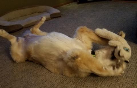 Playtime!