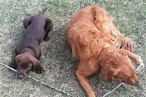 Hazel and her sister Ruby