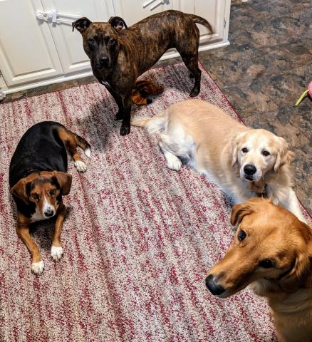 Waiting for dinner with my foster siblings.