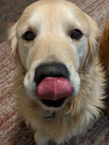 I just want to be with Foster Mom… ALL the time.