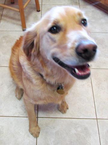 This is one of my "sit and wait" poses.