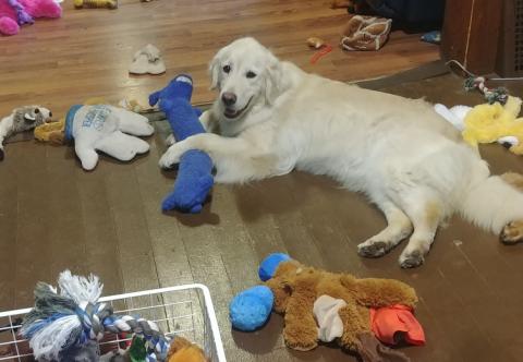 I couldn’t pick just one!