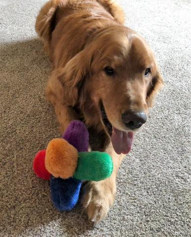 Roco 18-006 in his new home.