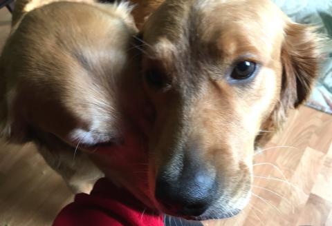Sally loves attention!