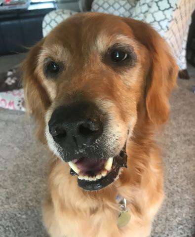 Handsome boy!
