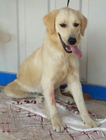 Will in the shelter in Turkey, before his journey to the United States.