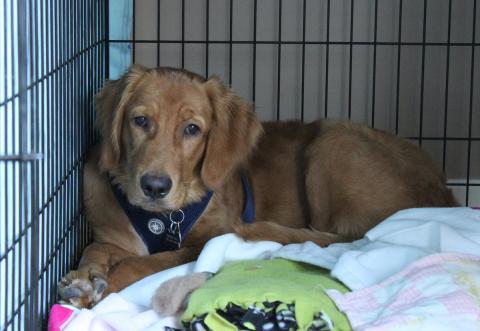 Wyatt in one of his two spots that he feels safest.