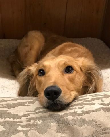 Smiling in bed