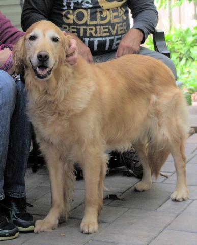 Bailey 19-145