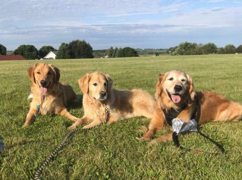 Charlie, Brody, and Delila (right)