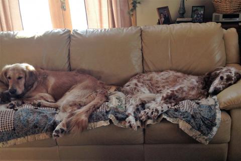 Joey and buddy, River.