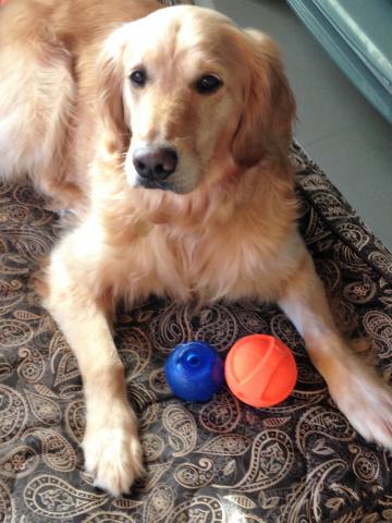 Hey look what I got for my sixth birthday and first birthday as a RAGOM boy!