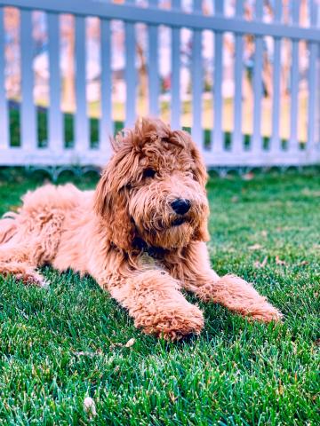I love playing outside!