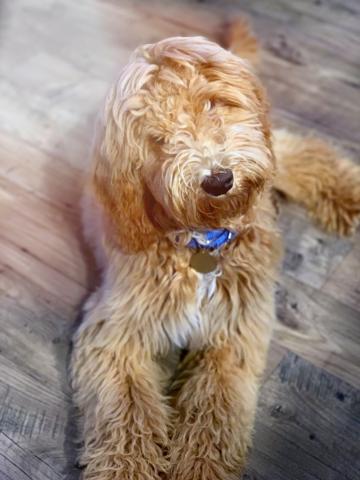 Did I hear you say "Peanut butter"?