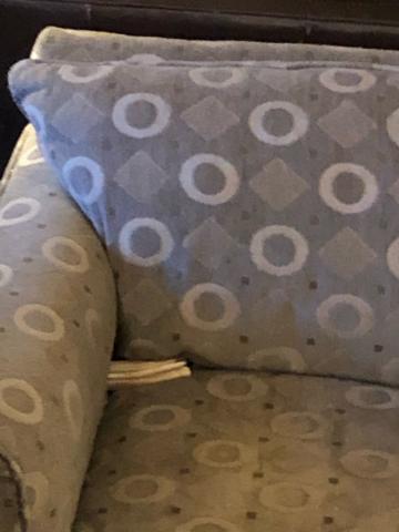 Rocky hid this bone in the crack of an easy chair.