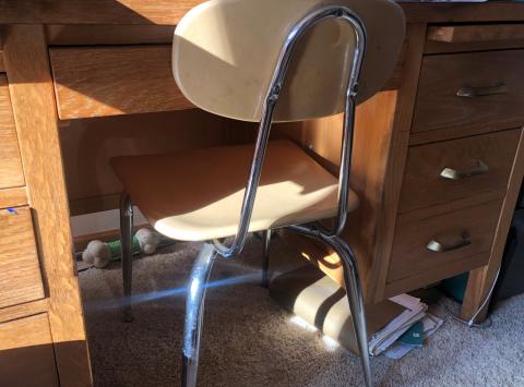 Can you find the bone he hid under the desk?