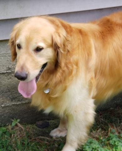 Rufus 19-056A