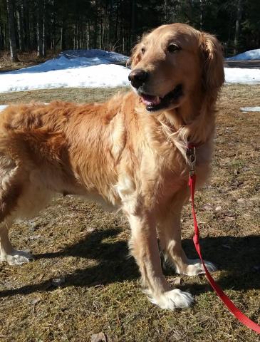 Bella 20-178A