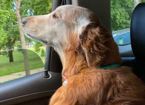Here I am in the car taking in all the smells nature has to offer