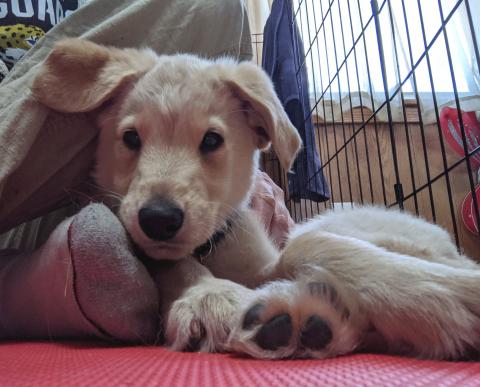 Snuggled in for now but ready for adventure!