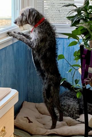 I SO want to be outside!