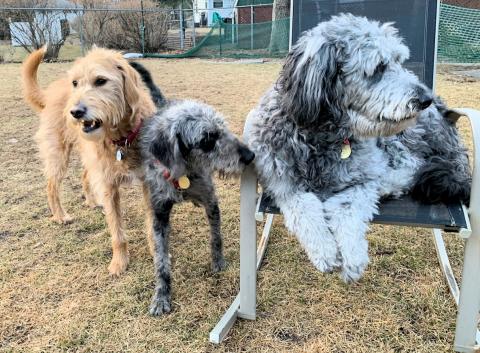 Just hanging with the doodles. See how petite I am?