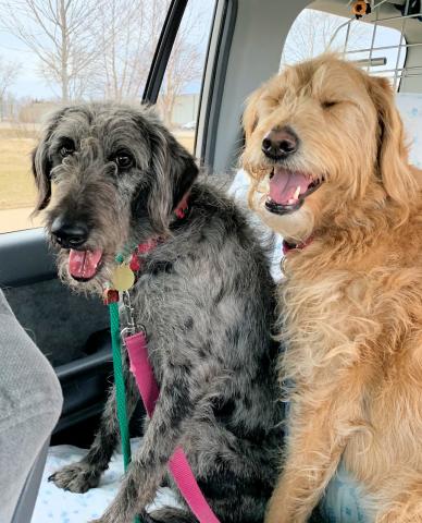 Look how cute we are in the car! 