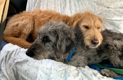 I am the pillow this time.