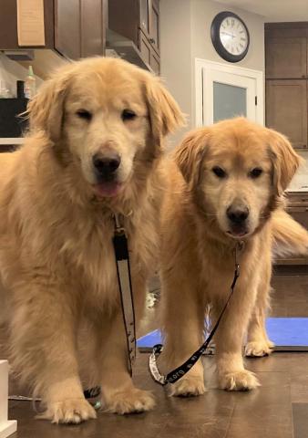 Lou is on the left and Shep is on the right.