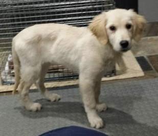 Leo (formerly Reuben 17-273)