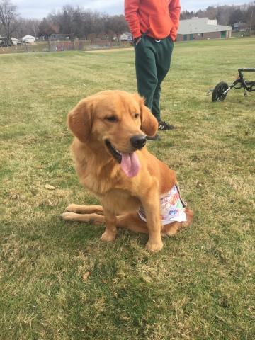 Korey sitting in a park field