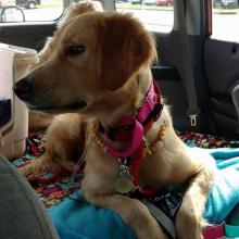 Car ride from Chicago