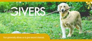 Golden Givers Recurring Donations
