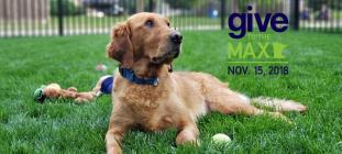 Give to the Max 2018