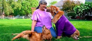 RAGOM needs foster homes